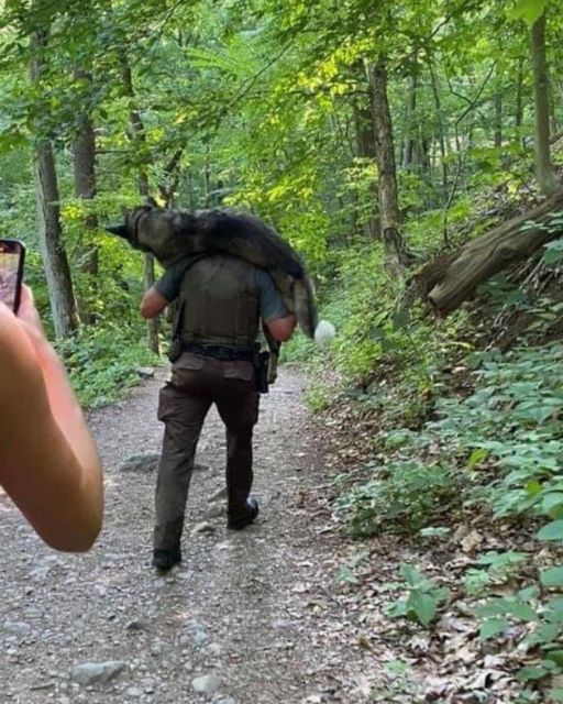 The Man Who Carried Courage Down The Mountain