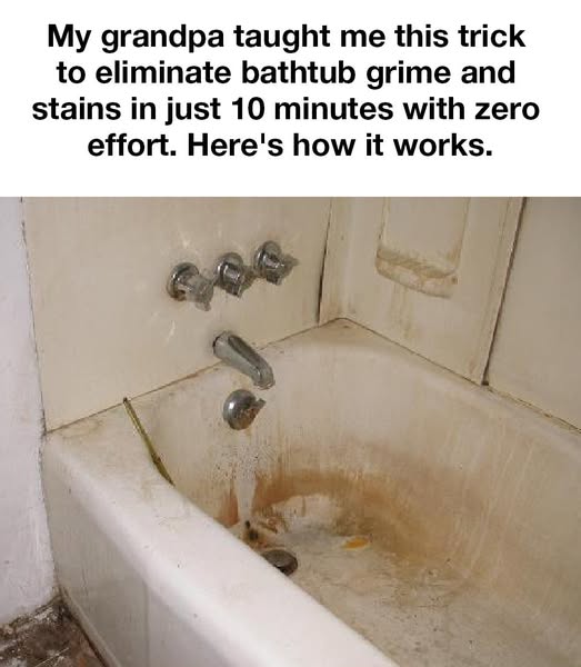 Best thing I’ve read today!