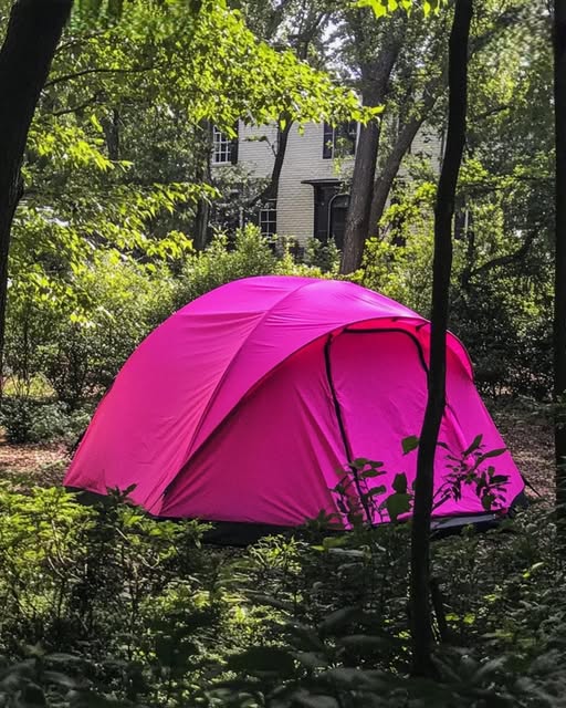 I Returned Home from My Daughters Funeral to Find a Tent in My Backyard, I Went Pale at What I Found Inside