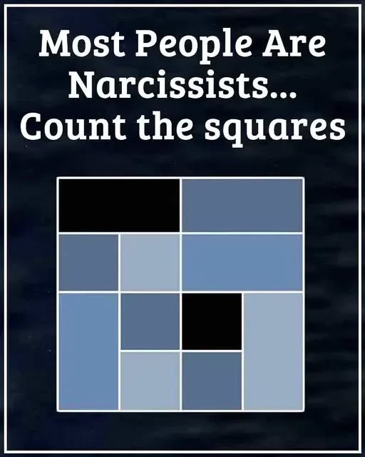 Count The Squares