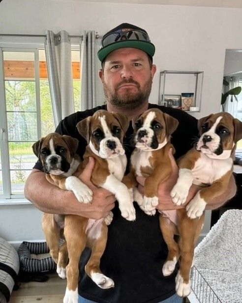 The Puppy With the Collar That Changed Everything