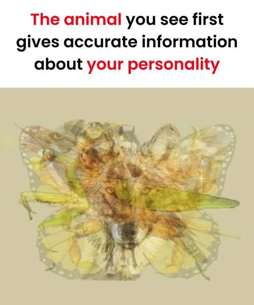 The animal you see first gives accurate information about your personality