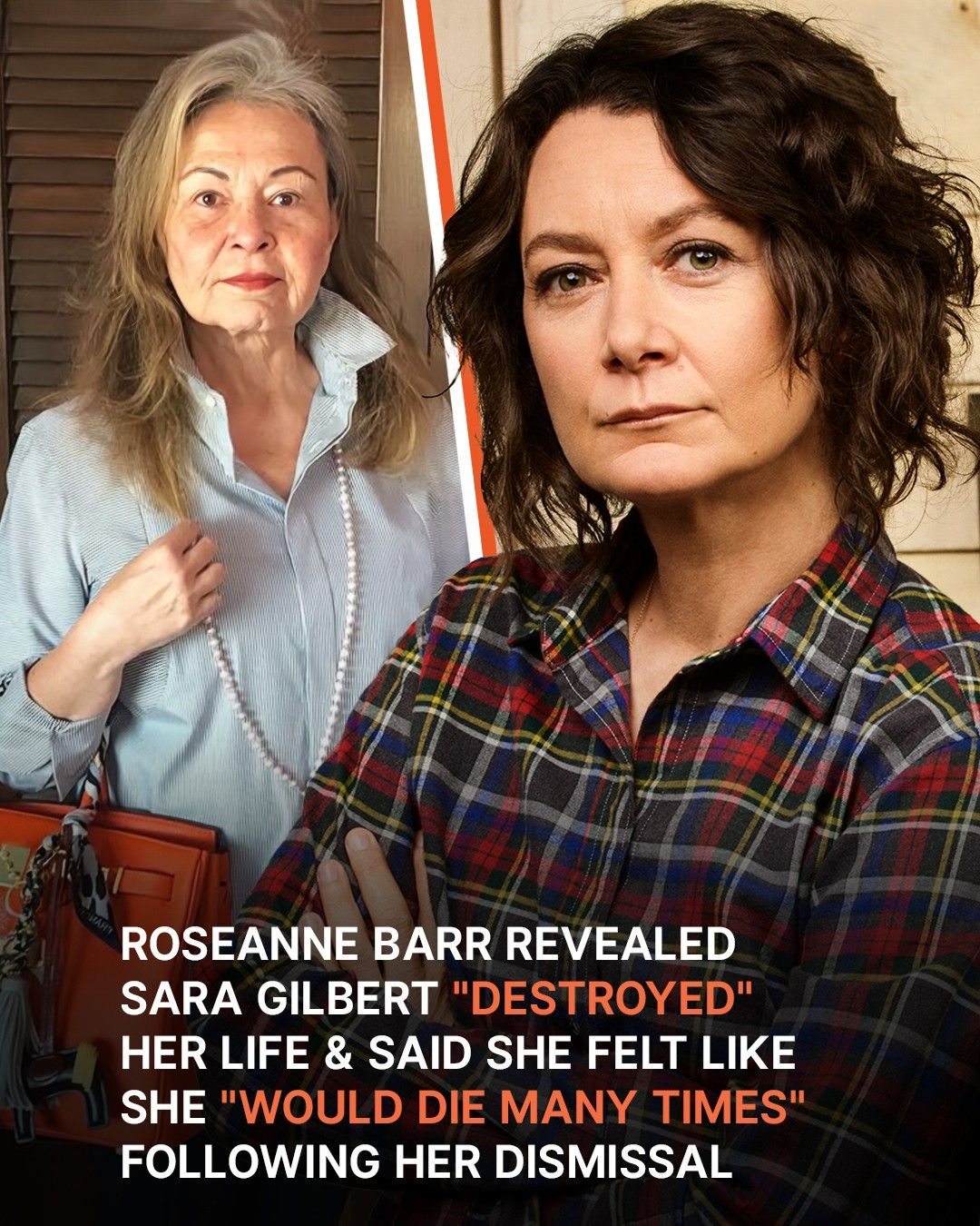 Roseanne Barr Said She ‘Would Die Many Times’ Following Her Dismissal & Revealed…