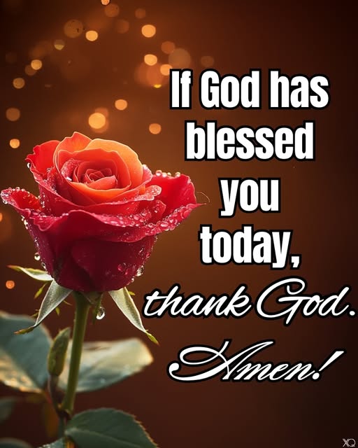 A Grateful Heart: Recognizing God’s Blessings in Everyday Life