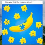 Puzzle master find missing piece! 😭💀