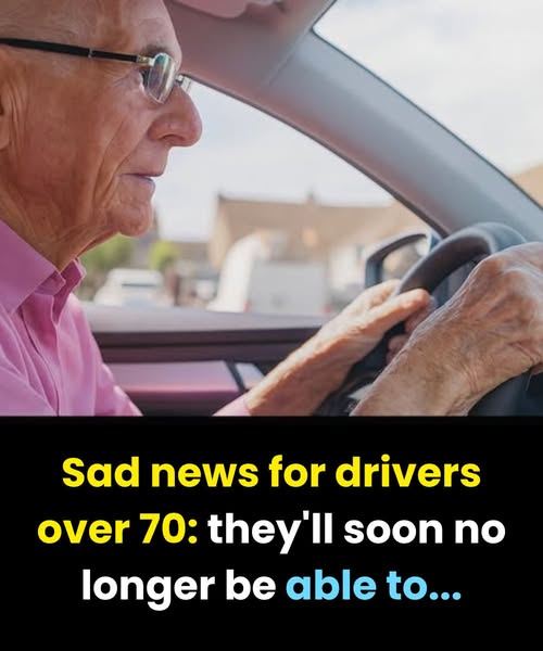 When Seniors Over 70 Should Stop Driving: Medical Conditions That Make It Unsafe