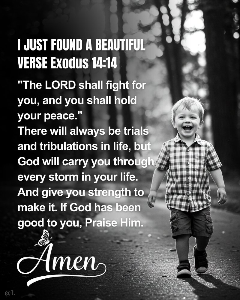 Finding Serenity in Every Storm: The Enduring Promise of Exodus 14:14