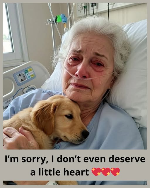 Left With No One but Her Dog — The Story That Will Break Your Heart in Seconds