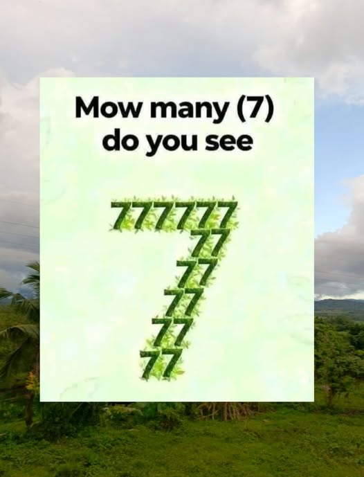 How many 7 are there! …