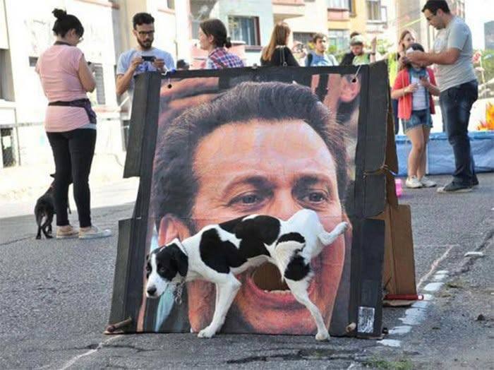 Un-paw-spected Photo Bomb: Canine Creates Street Art Sensation