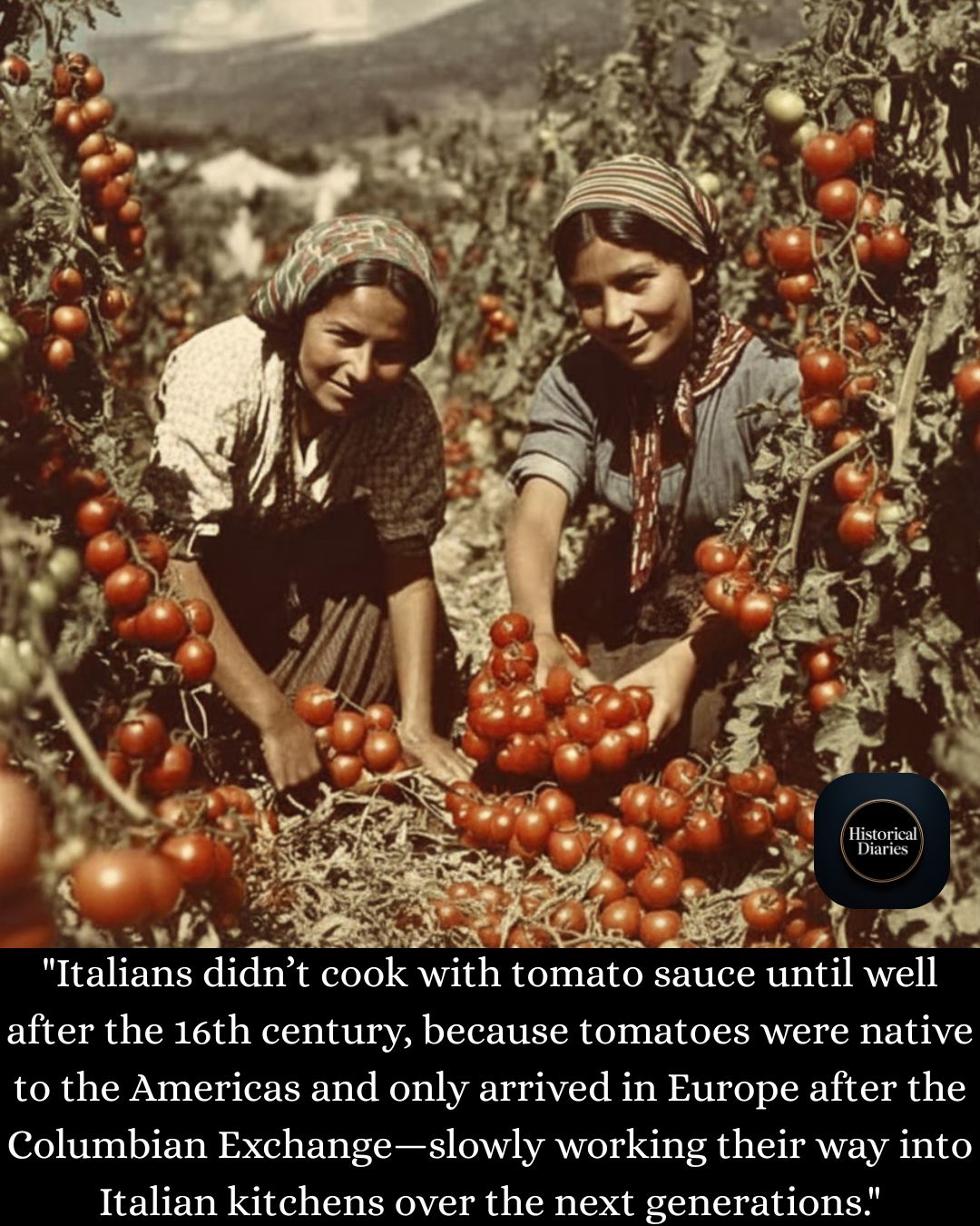 From Feared to Famous: The Remarkable Rise of the Tomato