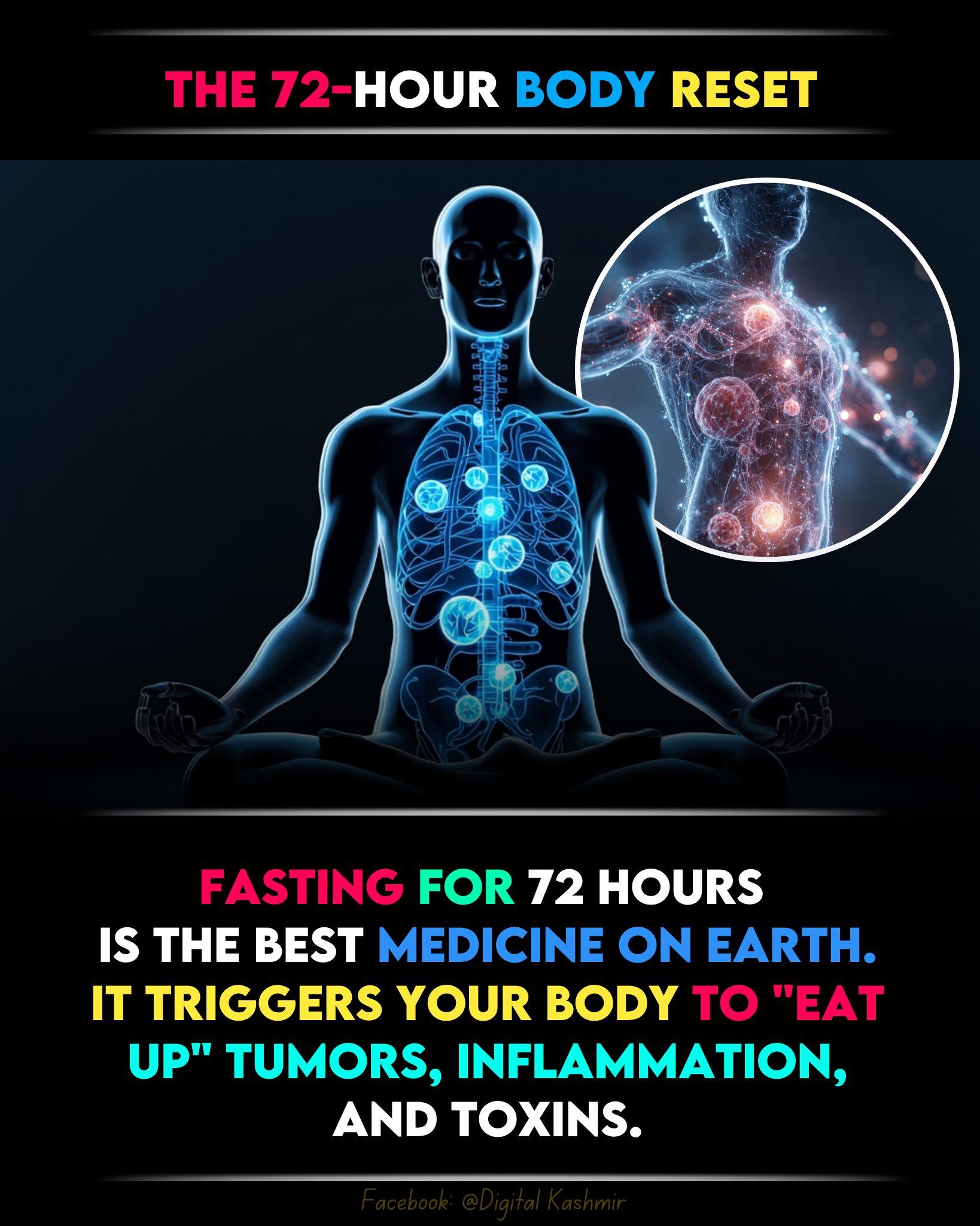 The Biological Deep Clean: Understanding the Power of Autophagy