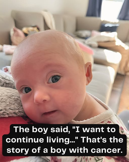 Beyond the Hospital Walls: The Incredible Spirit of Haley and His Unyielding Promise to Tomorrow