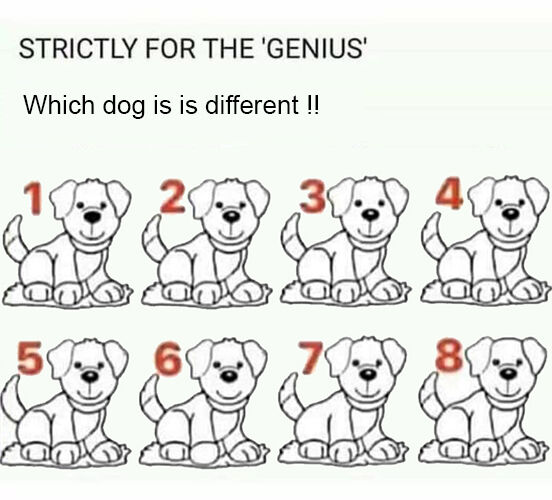 Most people fail: Can you spot which dog is different?