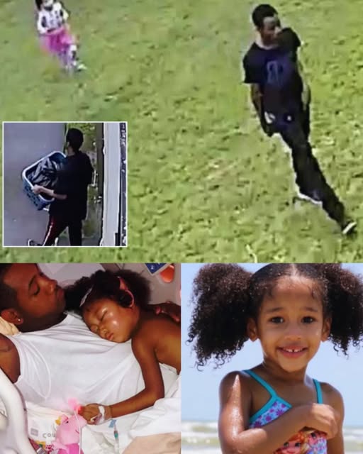 Uncovering the Lies: The Final Hours of Little Maleah Davis