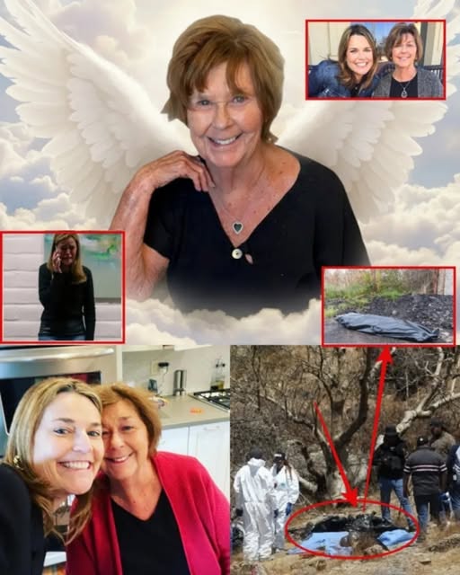 Nancy Guthrie Discovered in Critical Condition as Investigators Uncover Disturbing Footage