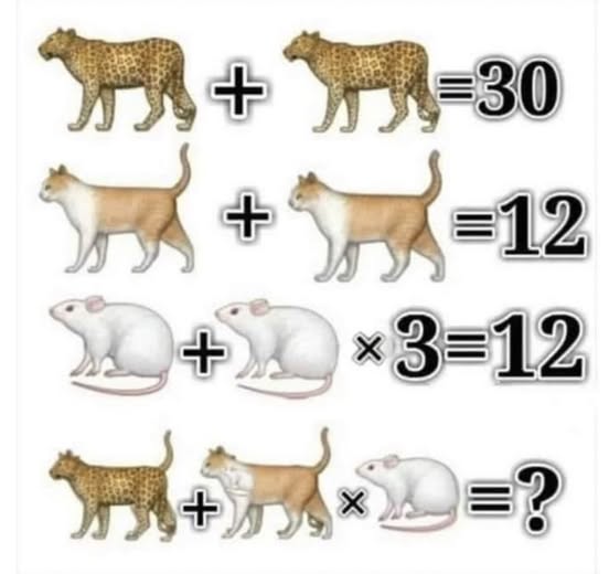 Solve This Cat, Leopard And Mouse Math Riddle