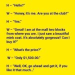 Hilarious Conversation – FULL STORY⤵️