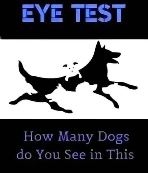 How many dogs do you see in the picture?