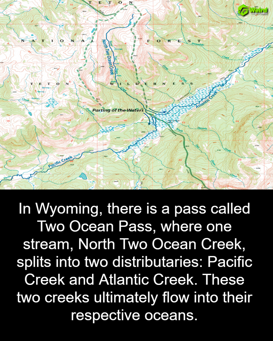 The Great Divide: The Hidden Hydrological Wonder of Two Ocean Pass