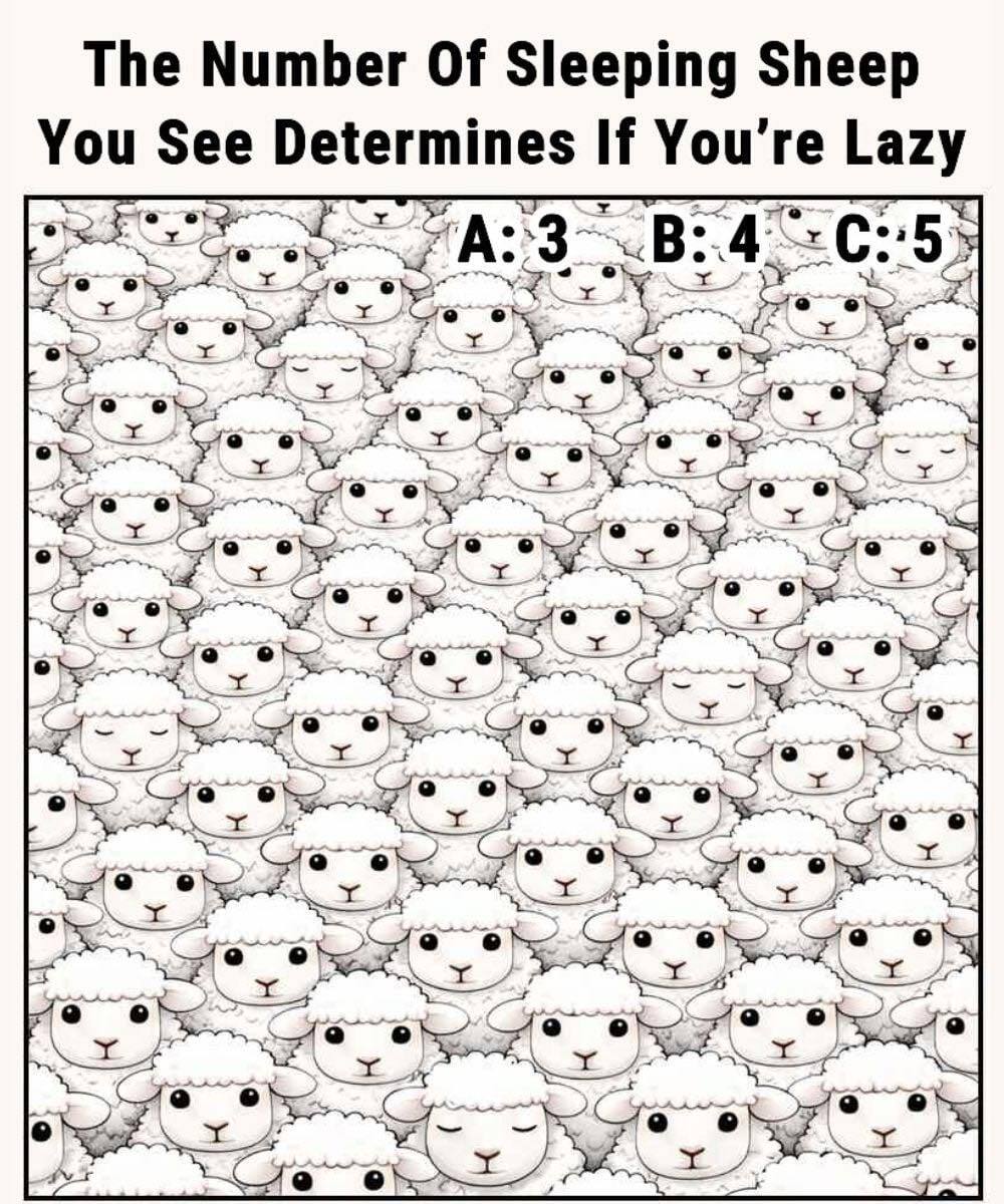 The Number of Sleeping Sheep You See Reveals Your Personality — What Do You Notice First 1 ?