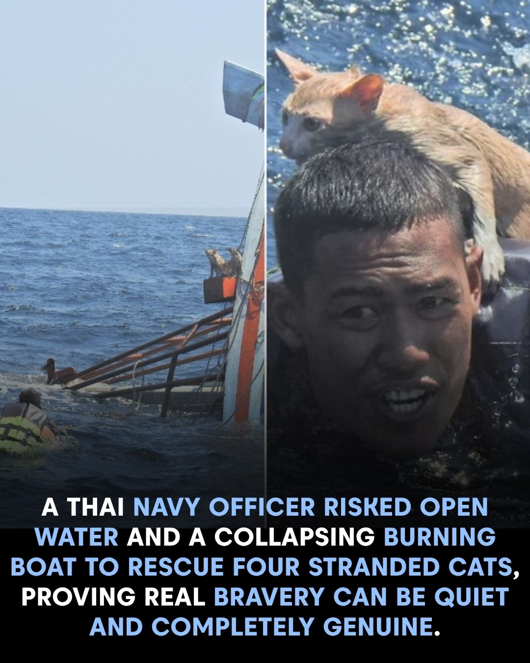 Heroism in the Haze: The Quiet Compassion of Petty Officer Wichit Pukdeelon