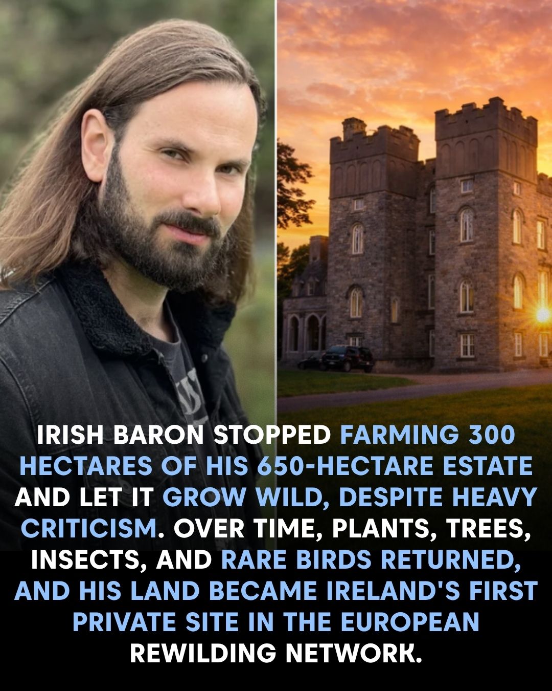 The Radical Silence of Dunsany: A Blueprint for Rewilding