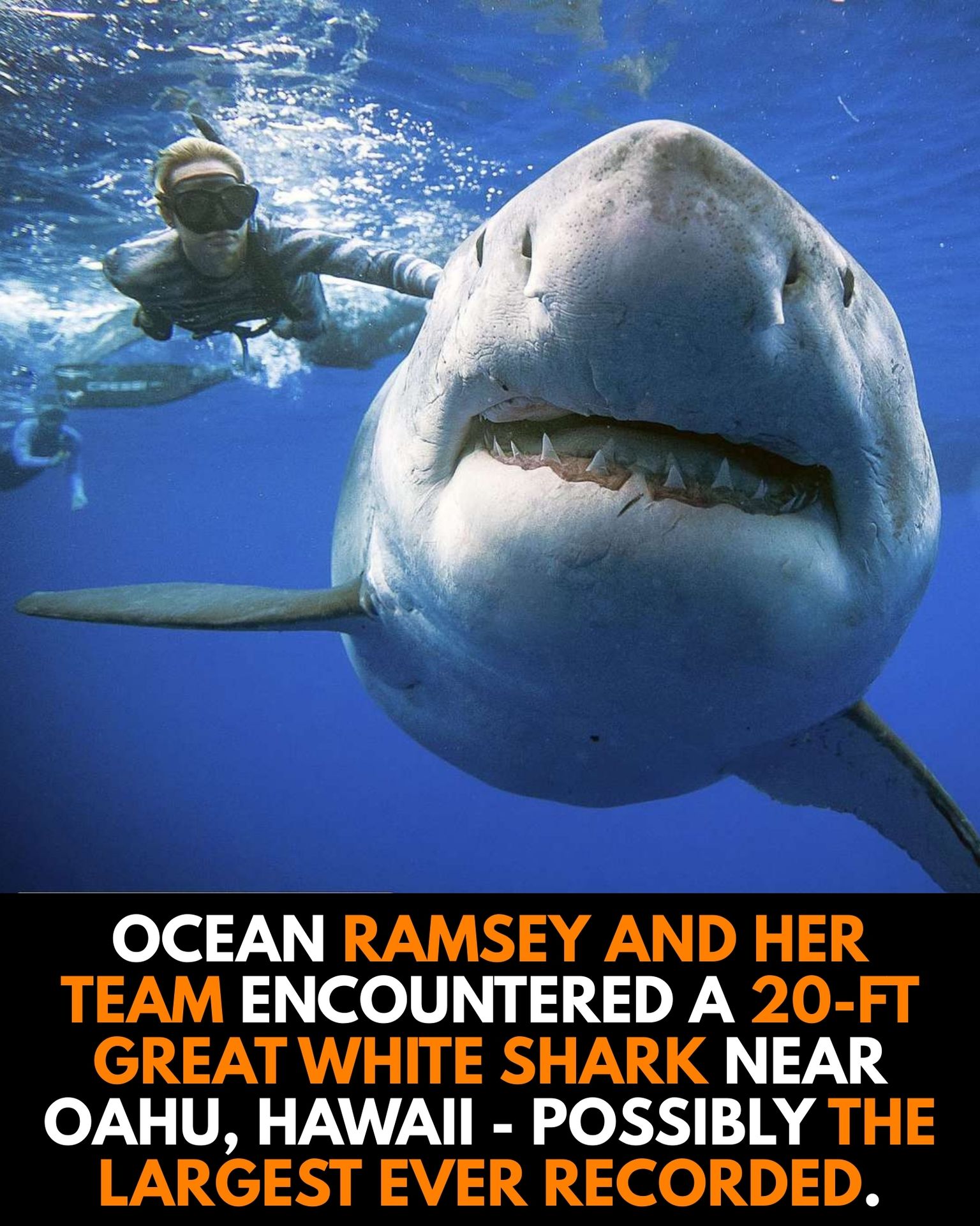 A Giant of the Deep: Ocean Ramsey’s Encounter with a Legend