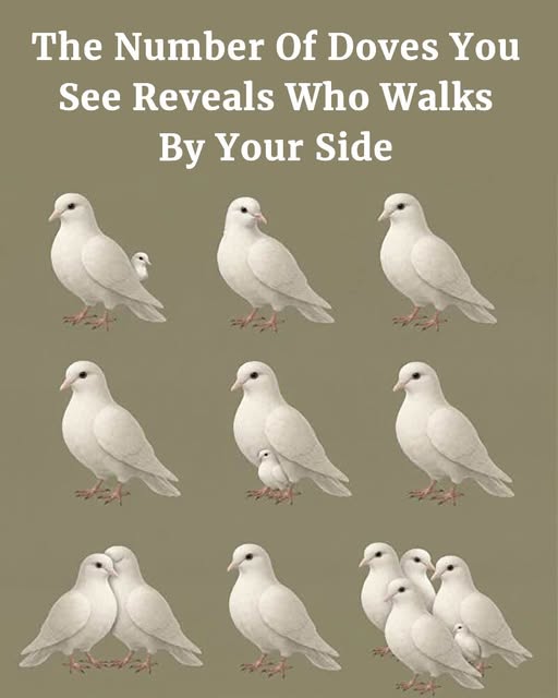 The Number of Doves You See Reveals Who Walks Beside You